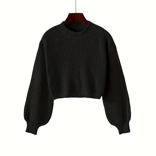 Solid Crew Neck Crop Sweater